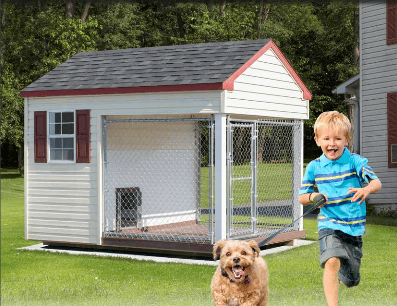 Backyard Sheds Co | Dog Kennels dog kennel