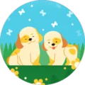 Refresh Avatar